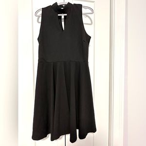 Sleeveless Stretchy Flare Skirt Dress by Wild Daisy (NWT)